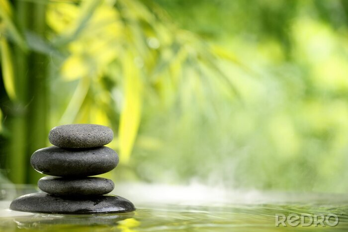 Poster  Spa encore la vie