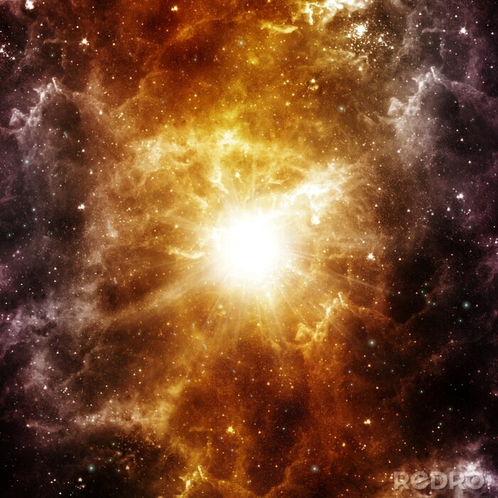 Poster  Star est née