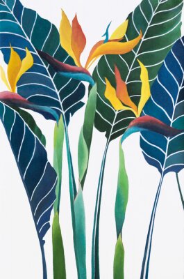 Poster  Strelitzia reginae flower (Bird of paradise flower) painting on canvas