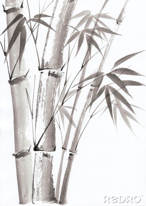 Poster  Subtile aquarelle de bambou