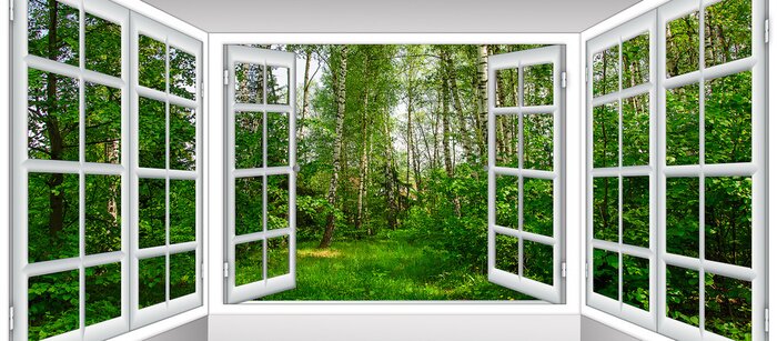 Poster  Sunrise view from the window