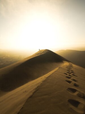 Poster  sunset in the desert
