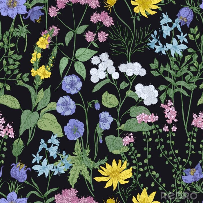 Poster  Sur un fond noir un motif de fleurs sauvages