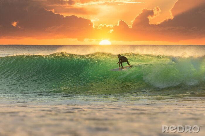 Poster  Surfeur à Sunrise