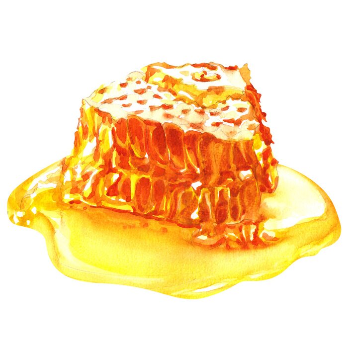 Poster  sweet honeycombs with honey, isolated on white