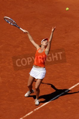 Poster  Tennis et joueuse de tennis Agnieszka Radwanska
