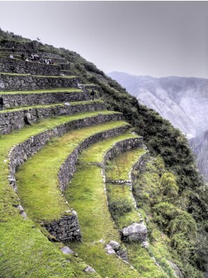 Poster  Terrasses de montagne au Machu Picchu