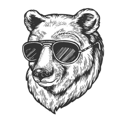 Tête d'ours en lunettes de soleil