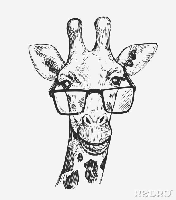 Poster  Tête de girafe noire et blanche avec des lunettes