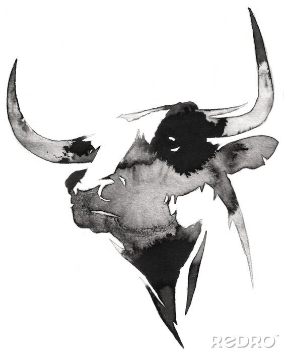 Poster  Tête de vache noire et blanche