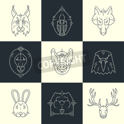 Poster  Têtes d'animaux