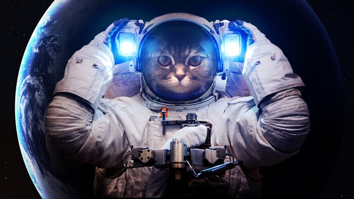 Poster  Thème de l'espace et chat en tant qu'astronaute