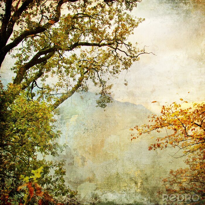 Poster  Thème peint avec des arbres