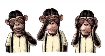 Poster  Three wise monkeys. Not see, not hear, not speak. Vintage engraving