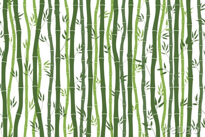 Poster  Tiges de bambou avec feuilles