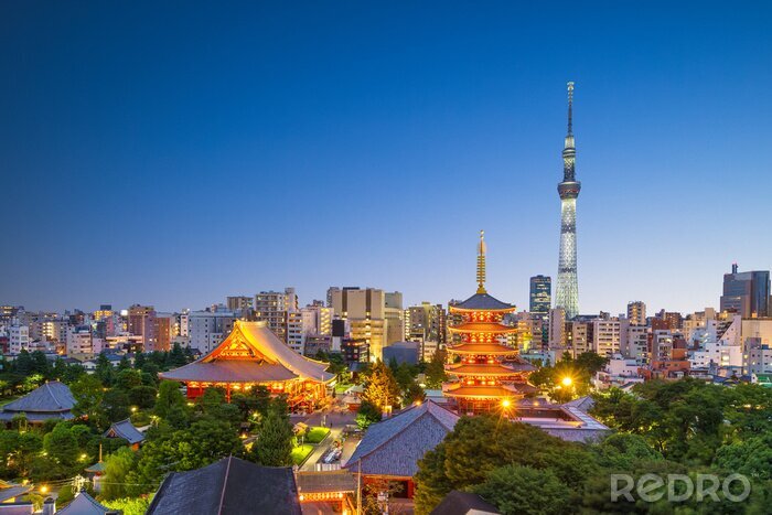 Poster  Tokyo le soir