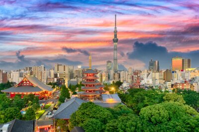 Tokyo sur un panorama