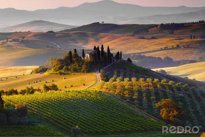 Poster  Toscana, Paesaggio. Italia
