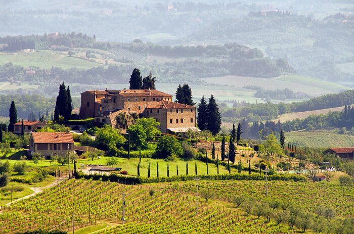 Poster  Toscane et maisons au bord des vignobles