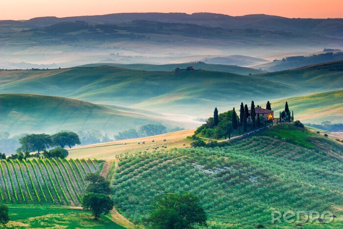 Poster  Toscane, le lever du soleil paysage