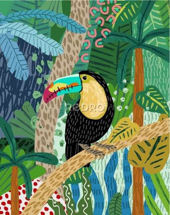 Poster  Toucan coloré