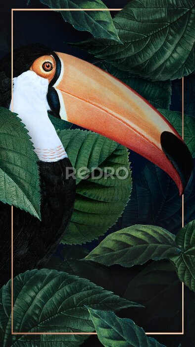 Poster  Toucan sur fond de feuilles vert foncé