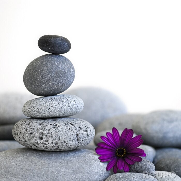 Poster  Tour de pierre