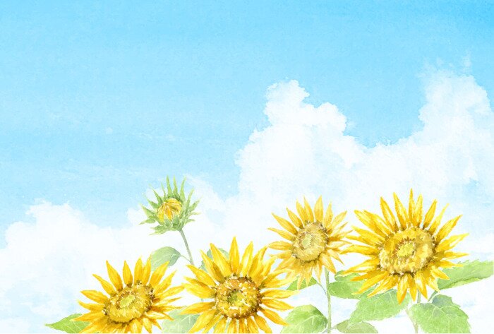 Poster  Tournesols aquarelles pendant une journée d'été