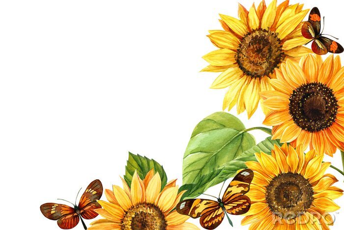 Poster  Tournesols aux papillons