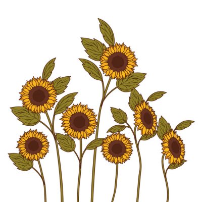 Tournesols de jardin graphiques