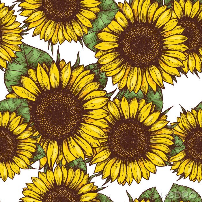 Poster  Tournesols en version graphique