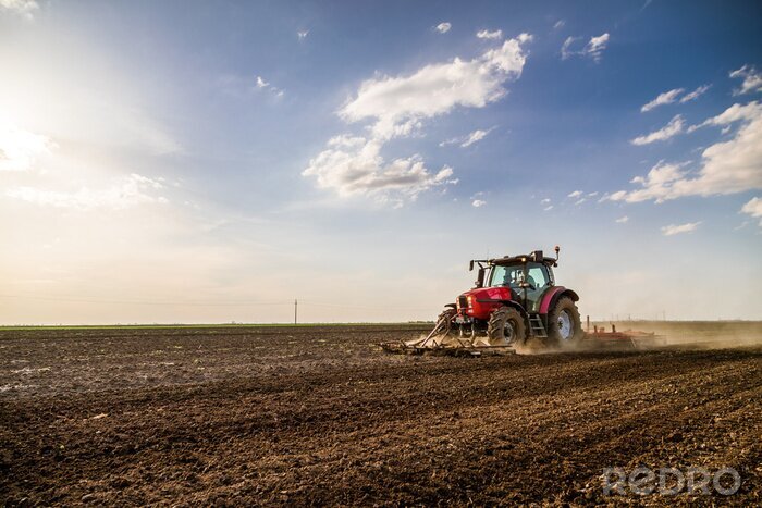 Poster  Tracteur cultivant le champ au printemps
