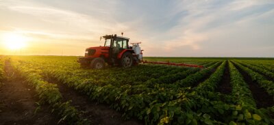 Poster  Tractor spraying soybean field in sunset