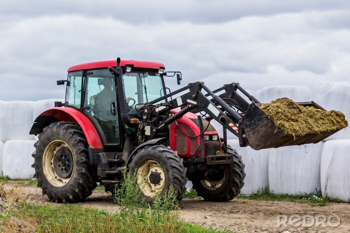 Poster  Tractor with front end  loader scored feed for cows. View of the side on the background of bales with silage. Necessary equipment for a dairy farm.
