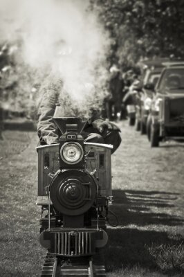 Train à vapeur miniature