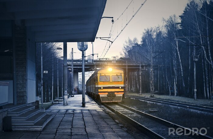 Poster  Train jaune paysage sombre