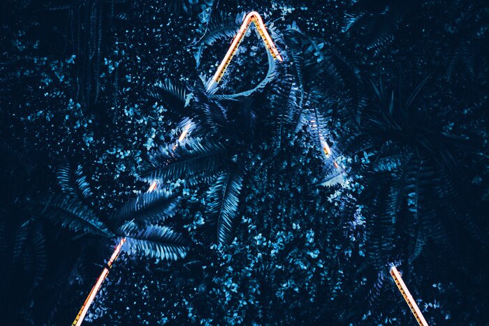 Poster  Triangle XXL avec des feuilles