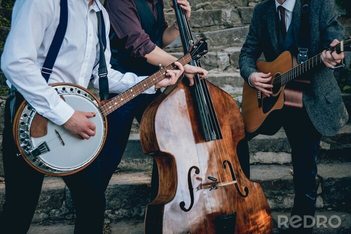 Poster  Trio de musiciens avec une guitare, banjo et contrebasse