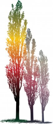 Poster  Trois arbres aux couleurs de l'arc-en-ciel