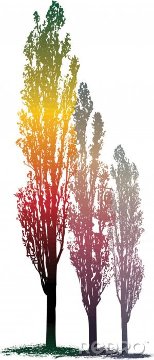 Poster  Trois arbres aux couleurs de l'arc-en-ciel