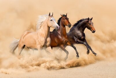 Trois chevaux courir dans le désert tempête de sable