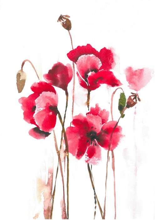 Poster  Trois coquelicots avec des centres visibles