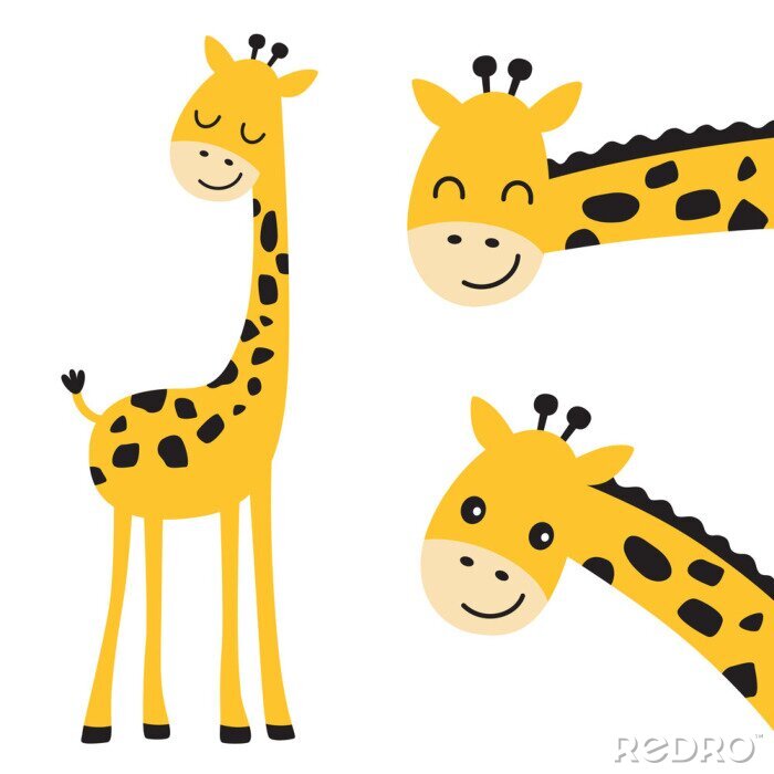 Poster  Trois girafes souriantes avec des taches noires