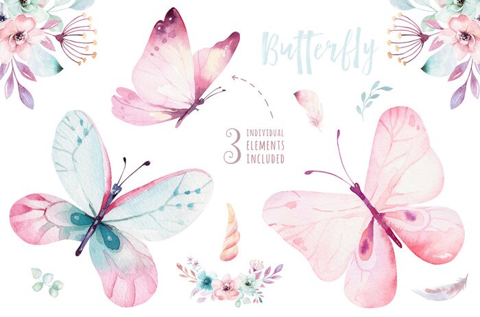 Poster  Trois papillons pastel et compositions florales