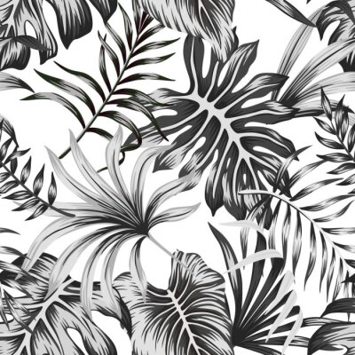Tropical black and white palm leaves seamless pattern white background. Exotic jungle wallpaper.