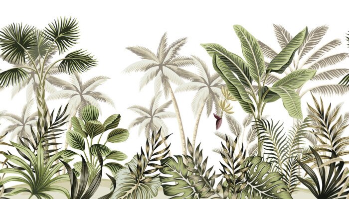 Poster  Tropical vintage botanical landscape, palm tree, banana tree, plant floral seamless border white background. Exotic green jungle wallpaper.