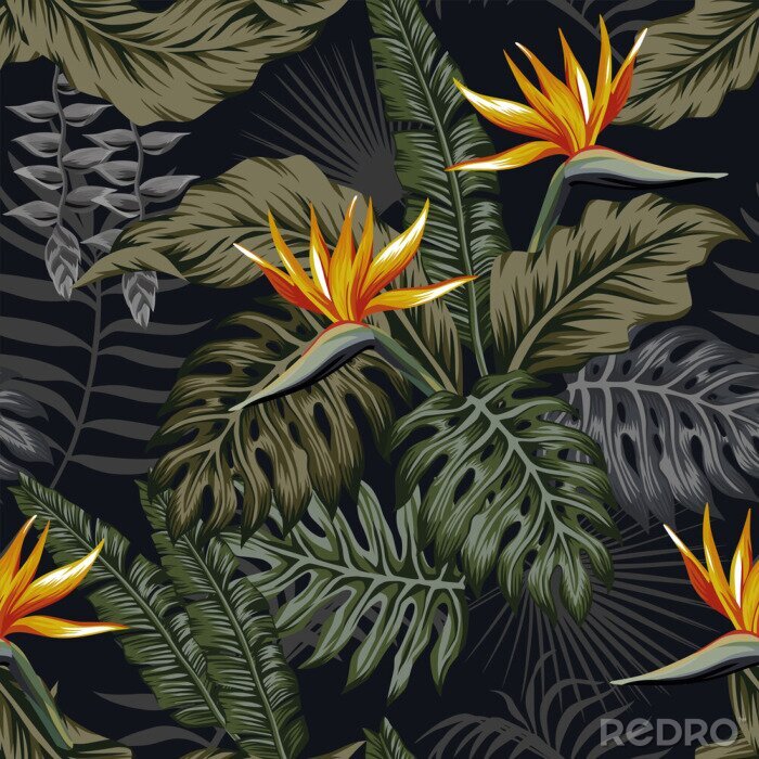 Poster  Tropiques sombres avec des feuilles exotiques