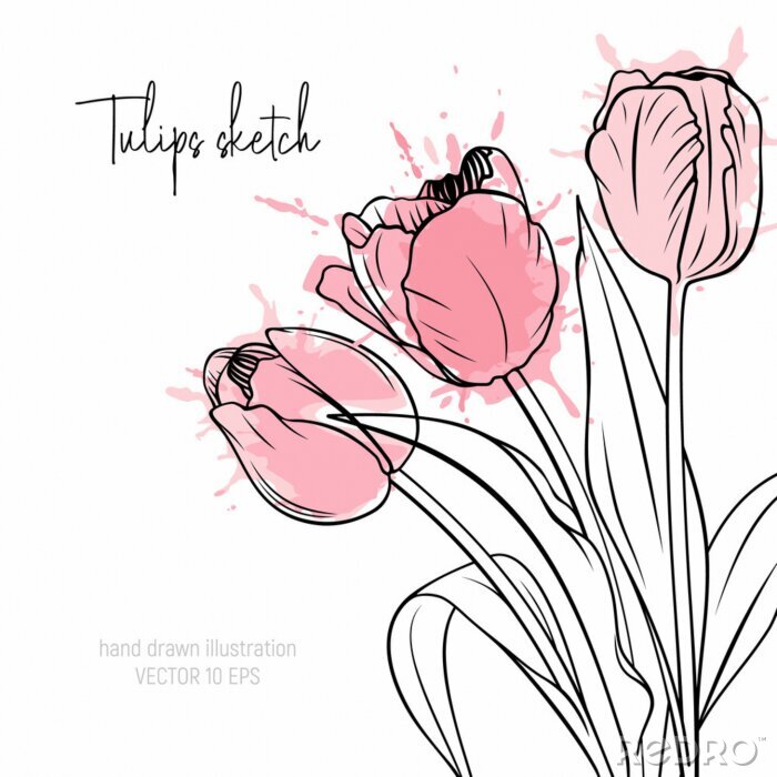 Poster  Tulipes esquissées remplies de tache de peinture