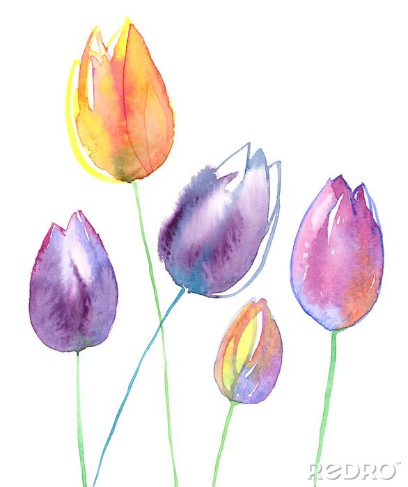 Poster  Tulipes jaunes et violettes remplies d'aquarelle