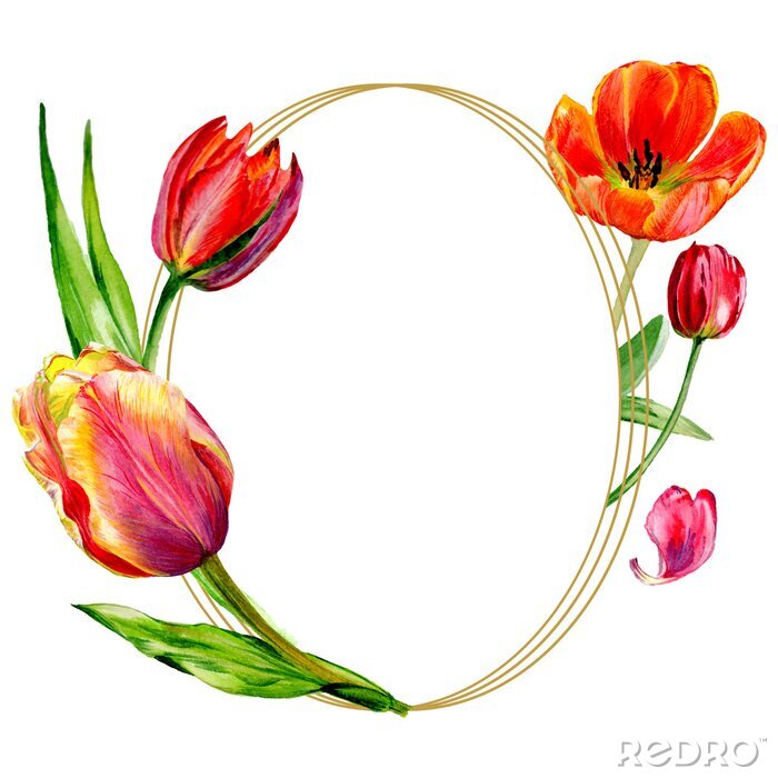Poster  Tulipes printanières formant un cadre ovale